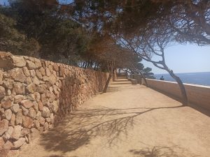 Inicio del camino de ronda