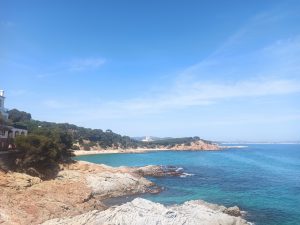 Rocas en Cala Sa Conca