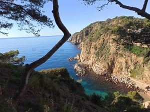 Cala Es Codolar