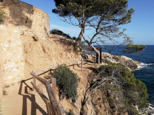 Camino de ronda