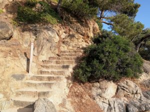 Escaleras en el sendero