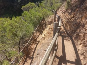 Descenso a Cala Pedrosa