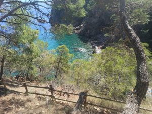 Sendero hacia Cala Pedrosa