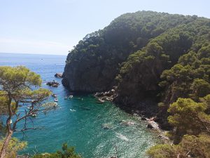 Acantilados en Cala Pedrosa