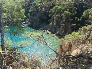 Aguas cristalinas en Cala Pedrosa