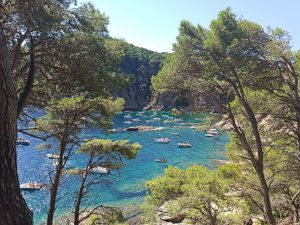 Cala Pedrosa