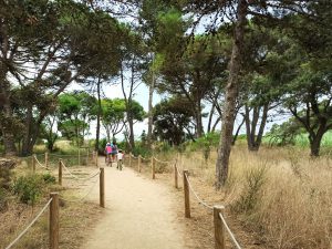 Entrada a la Playa del Castell