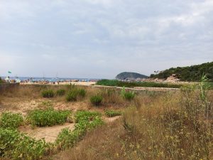 Llegada a la Playa del Castell