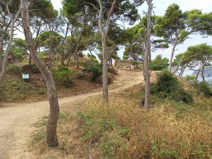 Poblado Íbero en el sendero