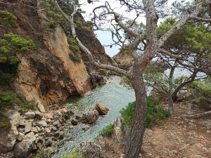 Acantilados en Cala Foradada