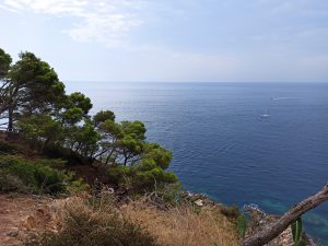 Vistas al mar desde el sendero