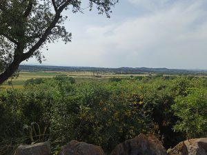 Llanura del Ampurdán desde Pals