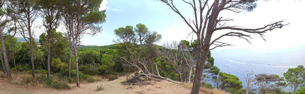 Vistas al mar desde el sendero litoral