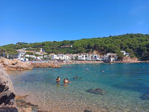 Aguas cristalinas en la Cala de Tamariu