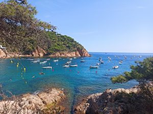 Vistas al mar desde la cala de Tamariu